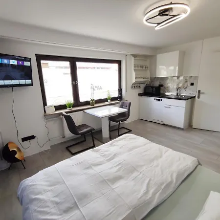 Business Style *free Parking And Wifi* Ludwigshafen am Rhein