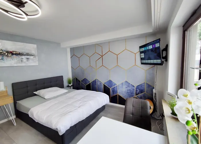 Business Style *free Parking And Wifi* Ludwigshafen am Rhein