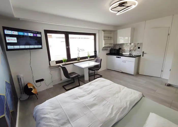 Business Style *free Parking And Wifi* Ludwigshafen am Rhein